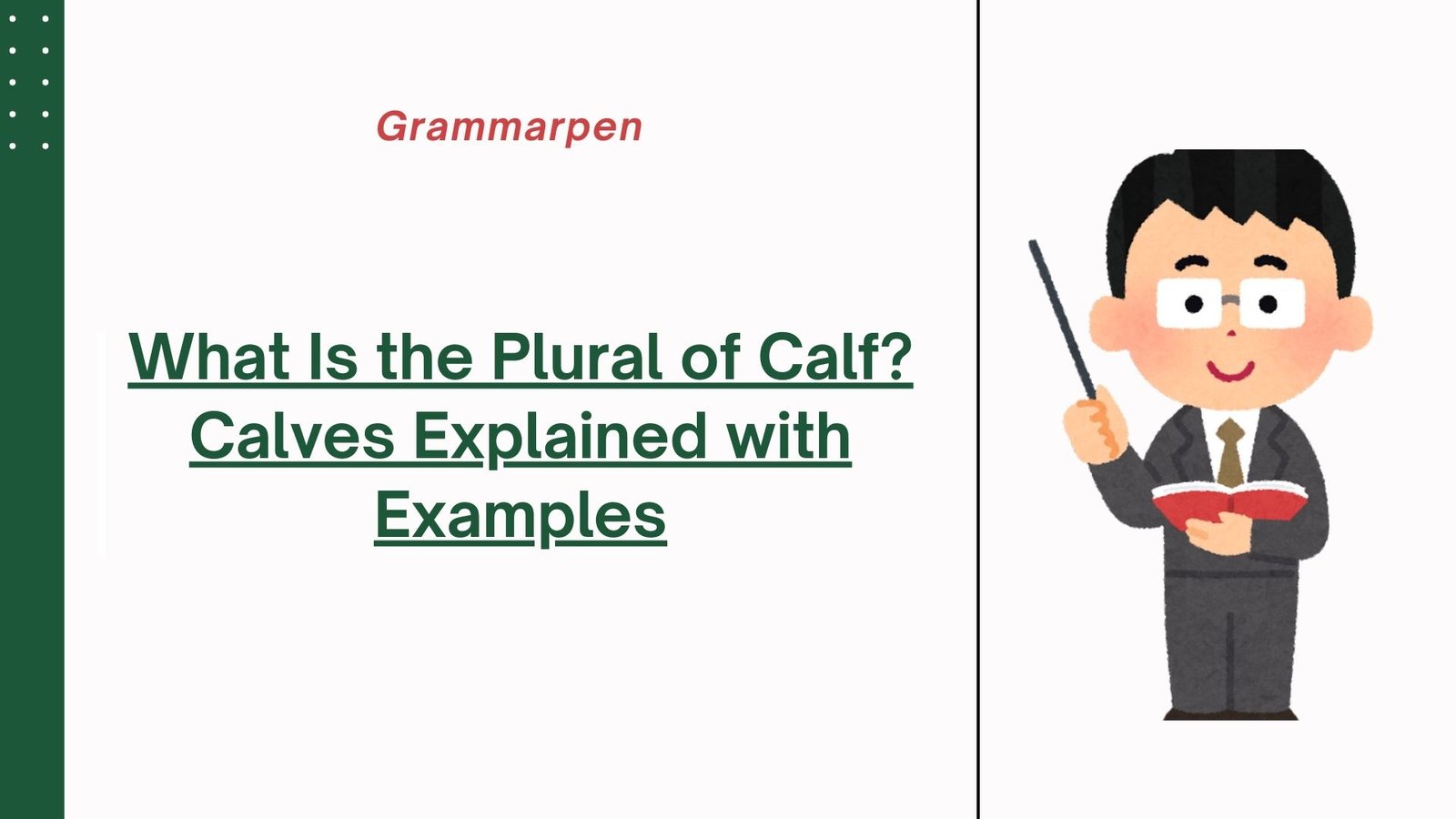 What Is the Plural of Calf Calves Explained with Examples