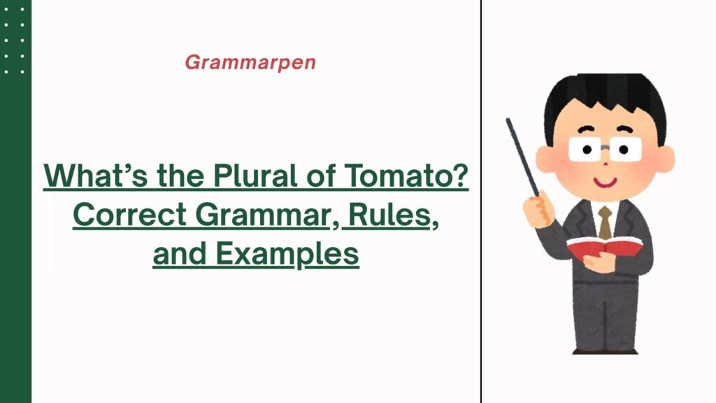 What’s the Plural of Tomato Correct Grammar, Rules, and Examples